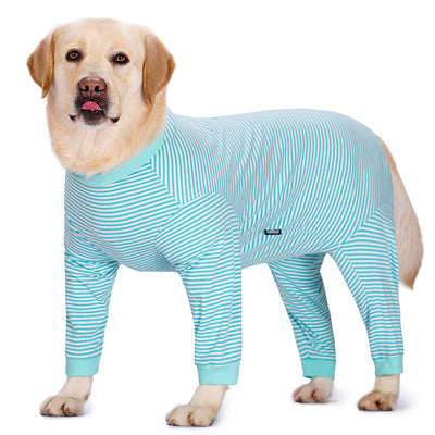 Ropa Ligera para Perros Golden Retriever y Labrador - Image 10