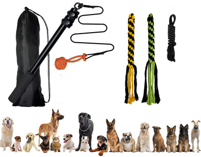 Vara Extensible de Adiestramiento para Perros con Diseño Divertido - Image 12