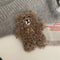 Oso De Peluche