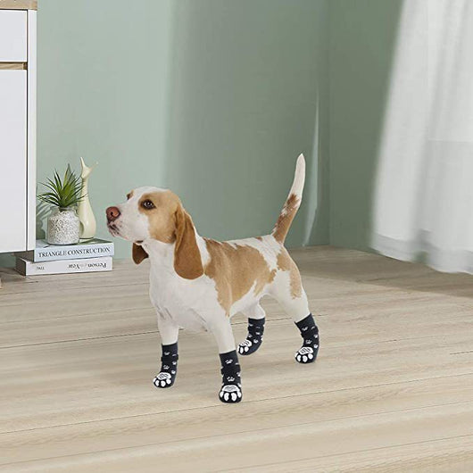 Calcetines Antideslizantes para Perros Medianos y Grandes - Botas Protectoras Silenciosas