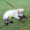Botas de Nieve Resistentes Talla Mediana y Grande