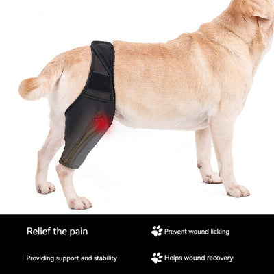 Rodillera Protectora para Perros - Soporte Articular y Recuperación Postoperatoria - Image 3