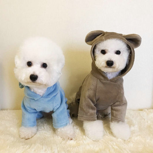 Mono Estampado para Perro con Bordados en Colores Sólidos - Image 2