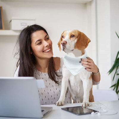 Bufanda Térmica Ajustable para Perros con Personalización por Transferencia - Image 17