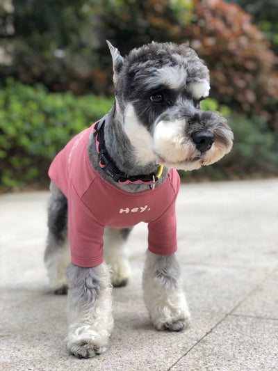 Playera Estampada Casual para Mascotas - Image 11