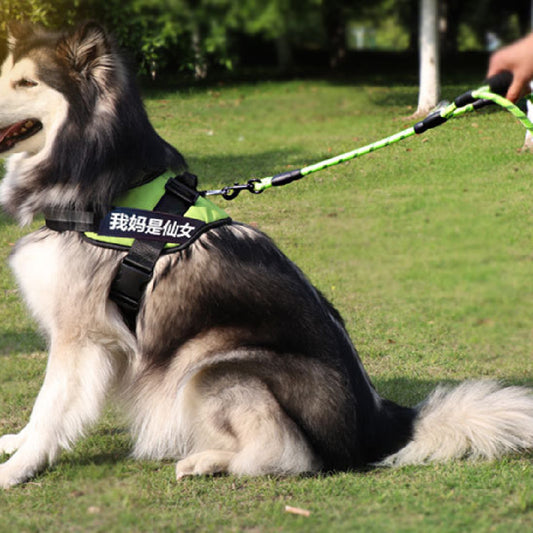 Cuerda Reflectante Tejida de Nylon con Doble Manija para Perros