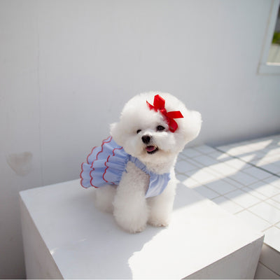 Vestido Princesa Ligero para Mascota - Colección Verano - Image 11