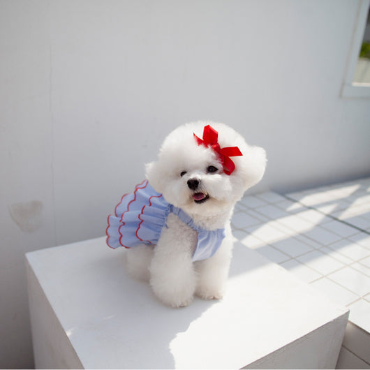 Vestido Princesa Ligero para Mascota - Colección Verano - Image 11