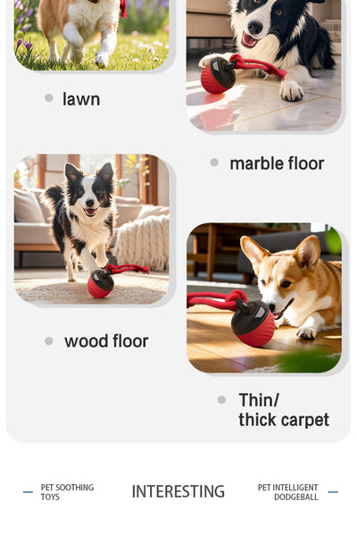Red and black smart interactive pet toy ball with a textured swirl pattern and an attached red rope. - Image 26