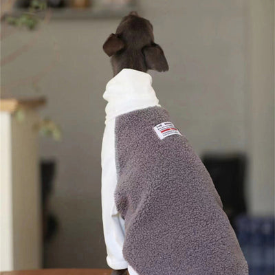 Ropa para Perros Pequeños y Medianos Whybit - Accesorios para Galgos - Image 6
