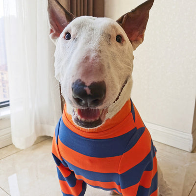Playera a Rayas para Mascotas - Diseño Simple y Adorable - Image 7