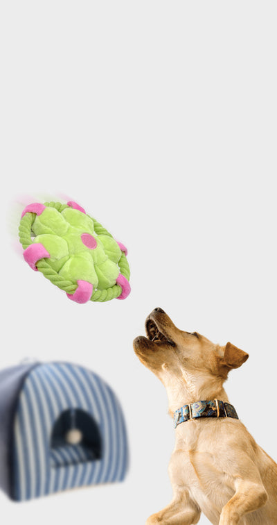 Juguetes Mordedores Interactivos para Perros con Sonido Chillón - Image 9