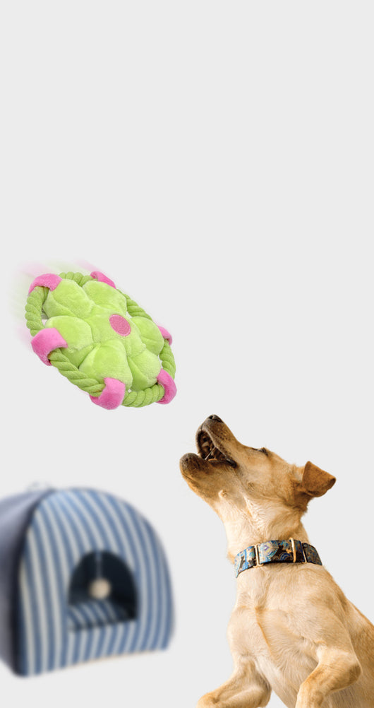 Juguetes Mordedores Interactivos para Perros con Sonido Chillón - Image 9