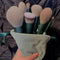 Set de 13 Brochas de Maquillaje Verde Secado Rápido Súper Suaves para Rubor y Polvos