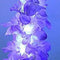 Jacinto Morado