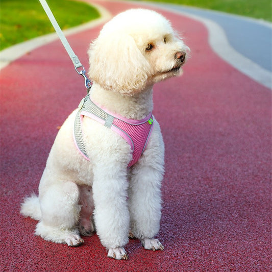 Arnés Reflectante Tipo Chaleco para Perro con Correa