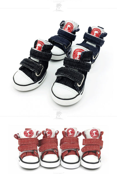 Zapatos Teddy para Perros Pequeños - Todas las Estaciones - Image 10