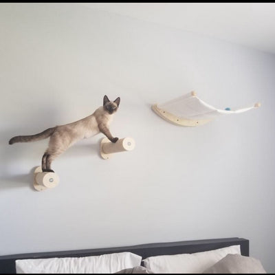 Árbol Rascador de Madera Sólida para Gatos con Cama y Plataformas de Escalada - Image 7