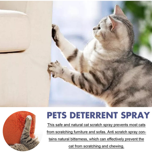 Spray Repelente Anti-arañazos para Perros y Gatos - Protege Puertas y Muebles - Image 12