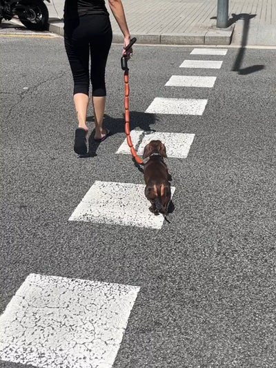 Juguete de Cuerda para Perro con Salchichas Grandes - Image 9