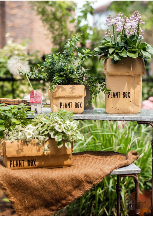Maceta Creativa de Papel Cemento para Plantas de Interior y Balcón - Image 29