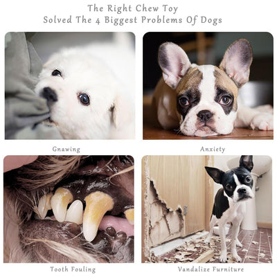 Juguete Masticable con Forma de Durian para Perros - Limpieza Dental y Entrenamiento - Image 12