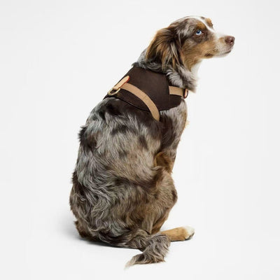 Arnés de Moda Urbana para Mascotas