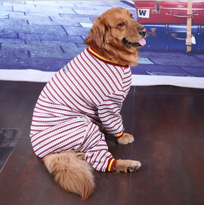 Ropa para Perros Medianos y Grandes - Abrigos Cómodos y Modernos - Image 7