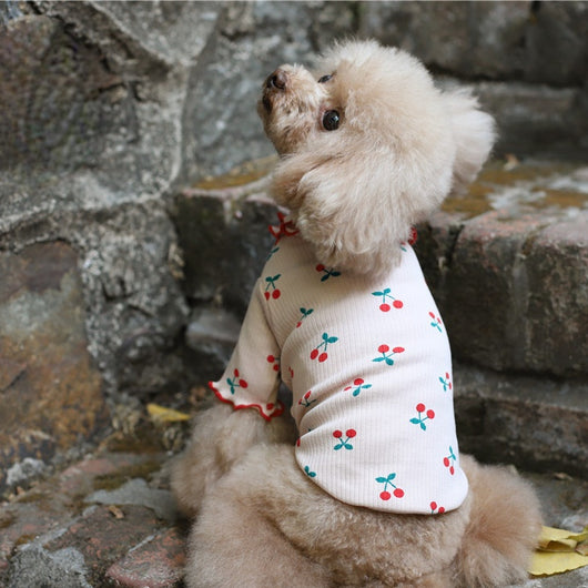 Blusa para Perro con Estampado de Cerezas y Borde Ondulado - Image 3