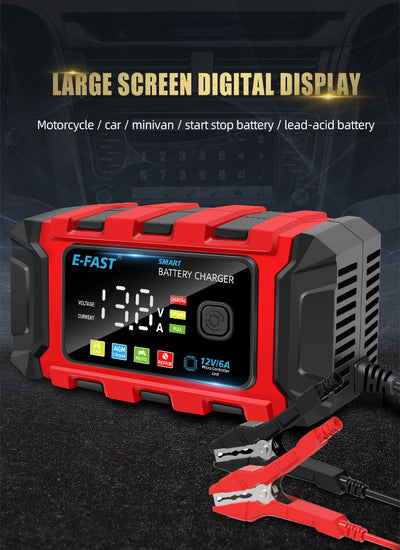 Cargador de Batería LiFePO4 12V para Vehículos Automotrices - Image 13