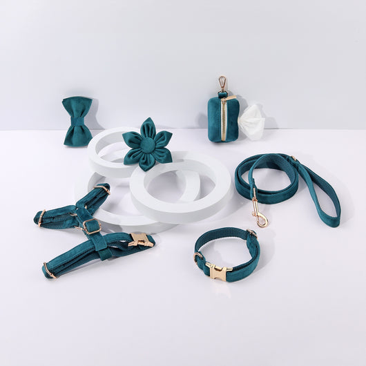 Conjunto de Collar y Correa de Terciopelo Suave para Mascotas - Image 41