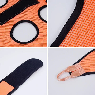 Bolsa de Aseo para Gatos - Kit Completo de Corte de Uñas y Baño con Hamaca de Sujeción - Image 6