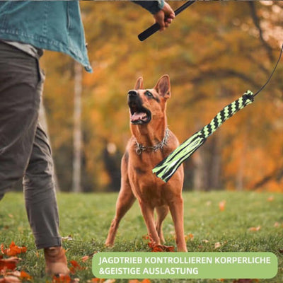 Vara Extensible de Adiestramiento para Perros con Diseño Divertido - Image 21