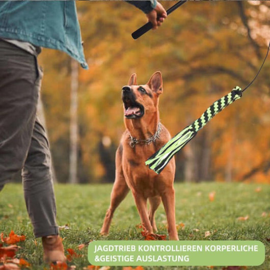 Vara Extensible de Adiestramiento para Perros con Diseño Divertido - Image 21