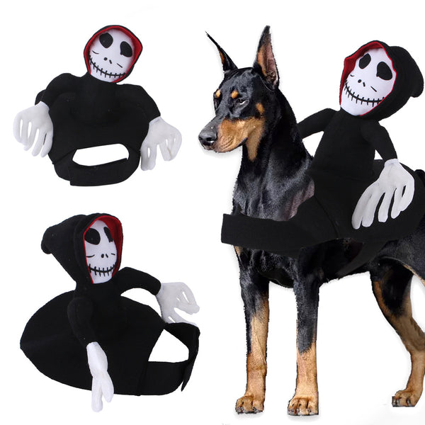 Disfraz Divertido para Mascotas Halloween - Chaleco Araña y Calabaza