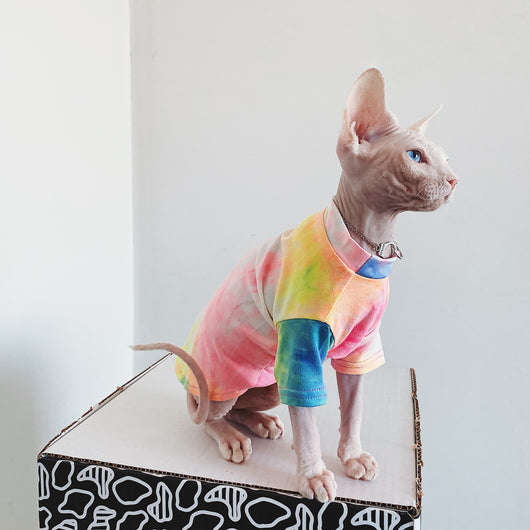 Ropa para Gatos sin Pelo Tie-Dye Arcoíris - Image 7