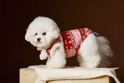 Chaleco Fair Isle para Mascotas Schnauzer Bichon Teddy - Image 5