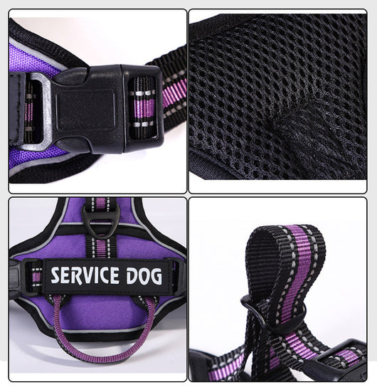 Mochila Personalizada para Perro en Tela Oxford - Image 14