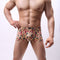 Bóxers Grandes Estampado Gingko para Hombre
