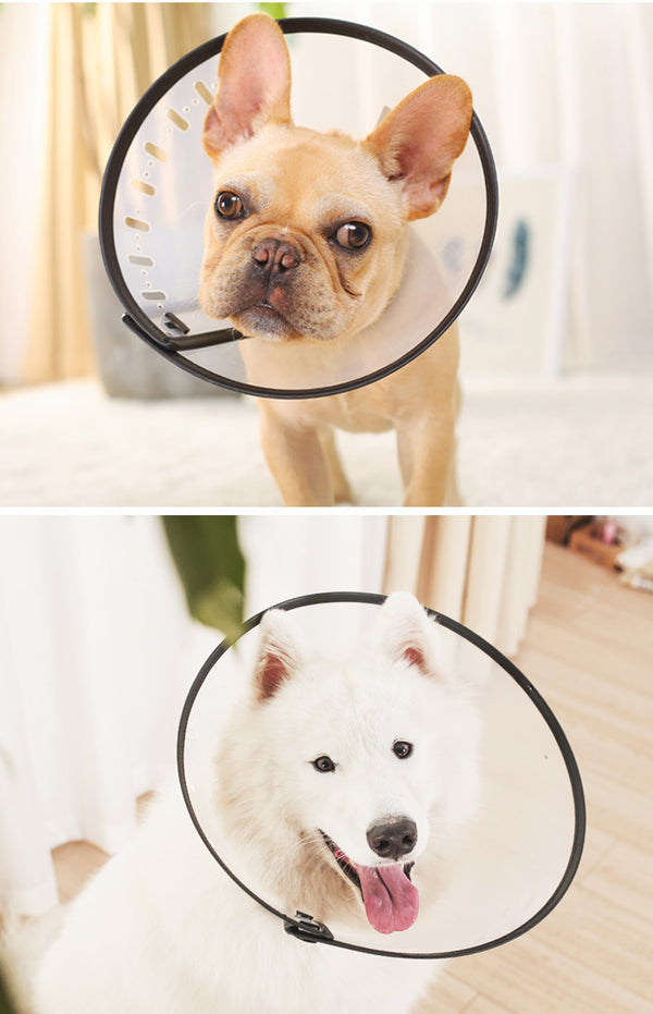 Collar Protector Antimorida y Antilametidas para Perros y Gatos