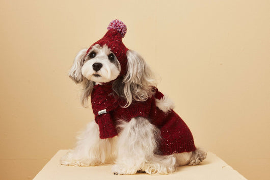 Gorro y Bufanda de Lana para Mascotas - Conjunto Abrigador para Perros - Image 8