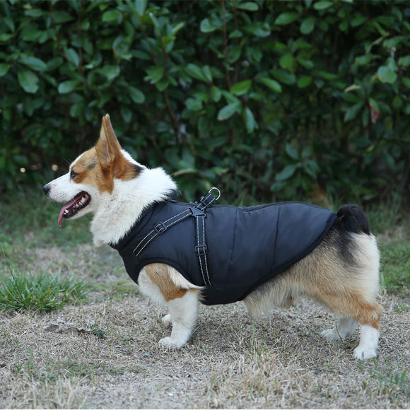 Ropa Térmica Multicolor para Mascotas - Abrigo Personalizado