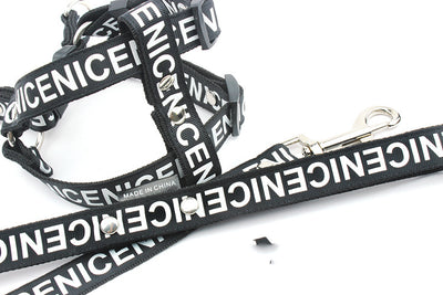 Collar y Correa para Perro Premium - Image 7