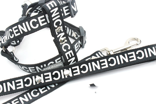 Collar y Correa para Perro Premium - Image 7