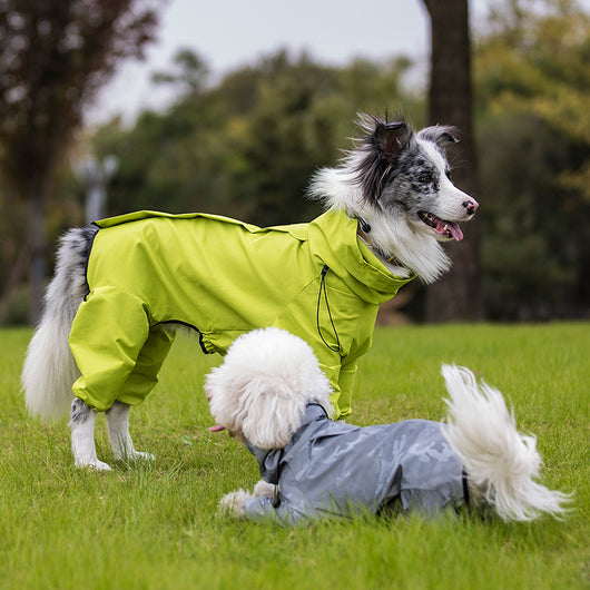 Impermeable Reflectante para Perros Grandes - Abrigo Protector Outdoor - Image 10