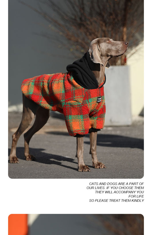 Ropa Térmica Gruesa para Perros Grandes - Image 3