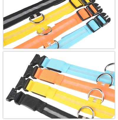 Collar LED Luminoso para Perros y Gatos - Seguridad Nocturna con Luz Fluorescente - Image 6