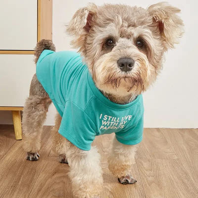 Playera de Cuello Redondo para Mascotas - Image 12