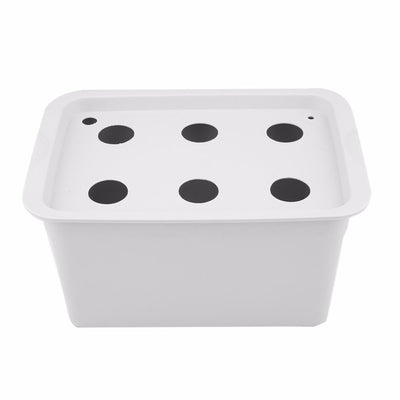 Kit de Cultivo Hidropónico para Balcón - Experimento Soilless - Image 8