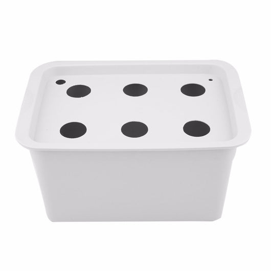 Kit de Cultivo Hidropónico para Balcón - Experimento Soilless - Image 8